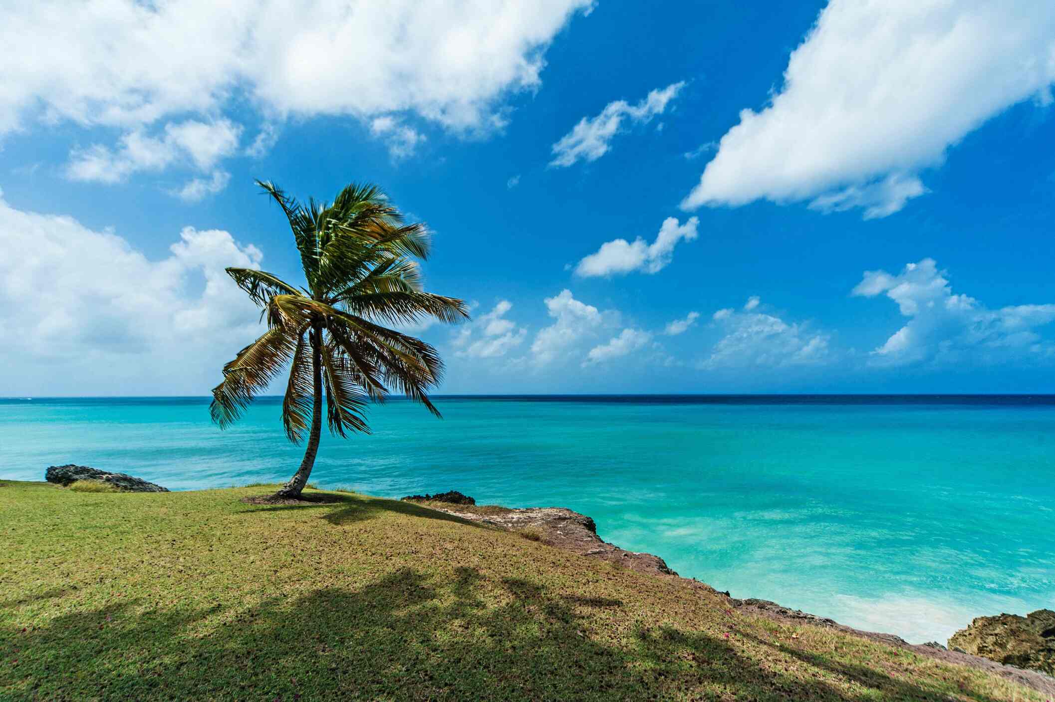 Barbados - Baja temporada 2026